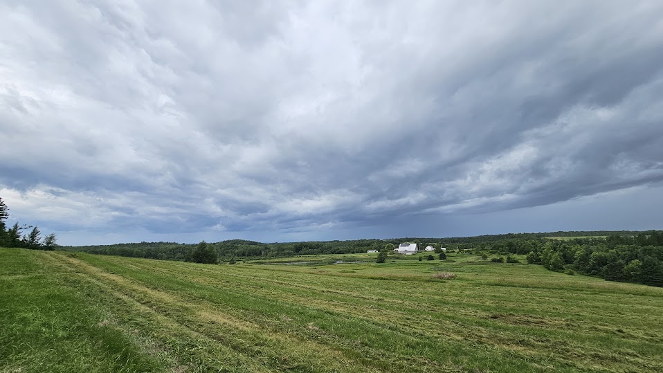 Completed Bushwacking Field
